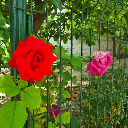 Dolce Casa Dhermi